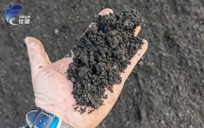 造紙廠(chǎng)污泥脫水效率可以使用污泥調理劑提升-青島仕駿