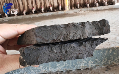 污泥深度脫水劑處理棘手的污泥問題-青島仕駿