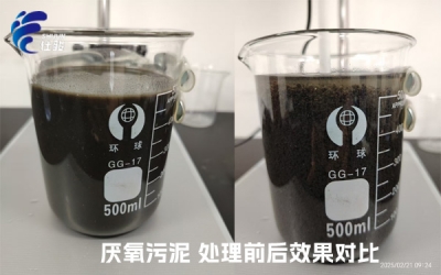 污泥增效劑：激活厭氧污泥潛能，重塑資源化新格局-青島仕駿