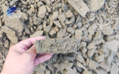 污泥增效劑助力脫水提效，含水率顯著下降-青島仕駿