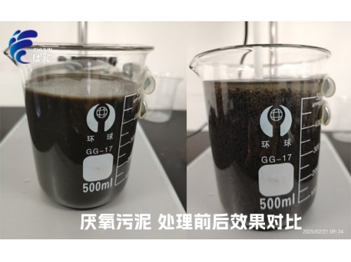 污泥增效劑：激活厭氧污泥潛能，重塑資源化新格局-青島仕駿